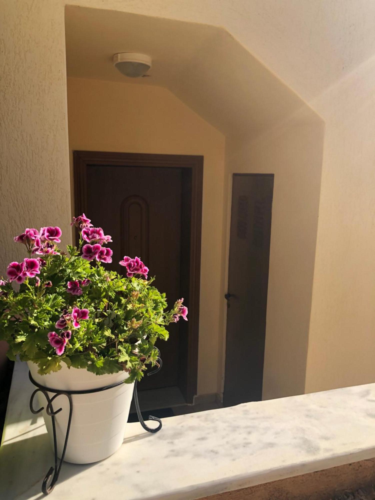 Artemis House Apartment Exterior photo
